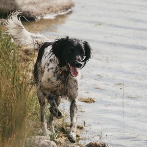 Meet your Posher, Robyn